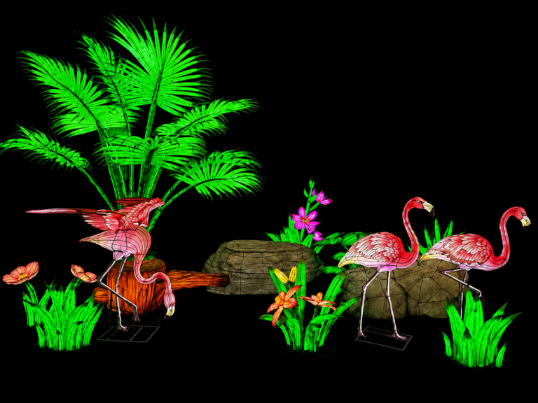 Flamingos