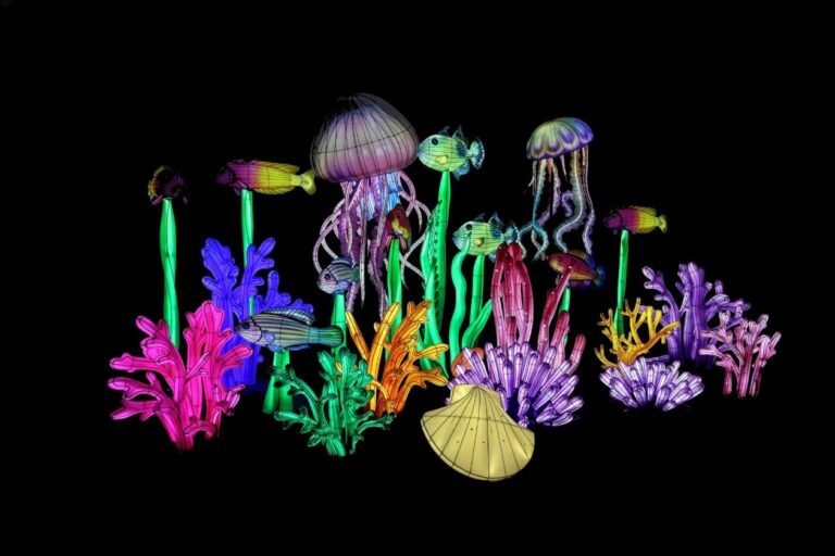 Jellyfish