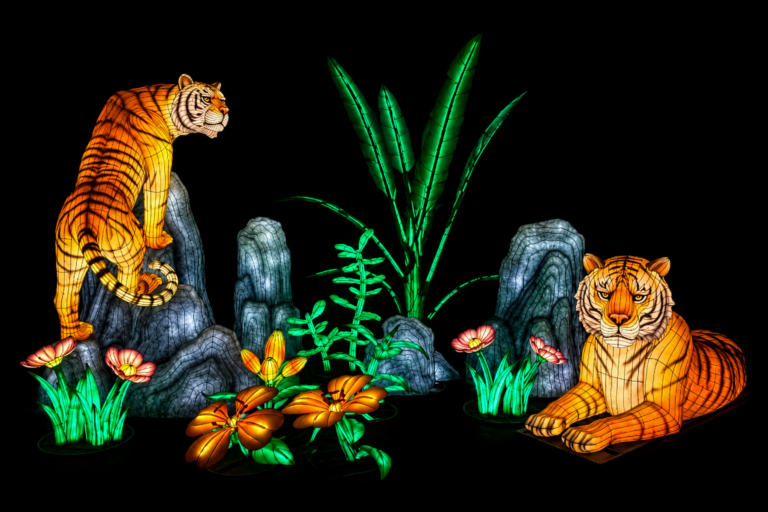 Tigers