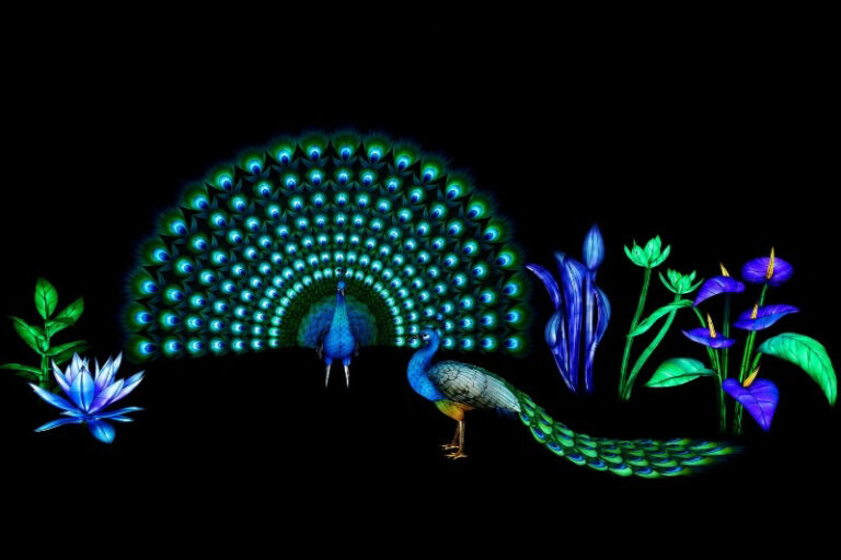 peacocks